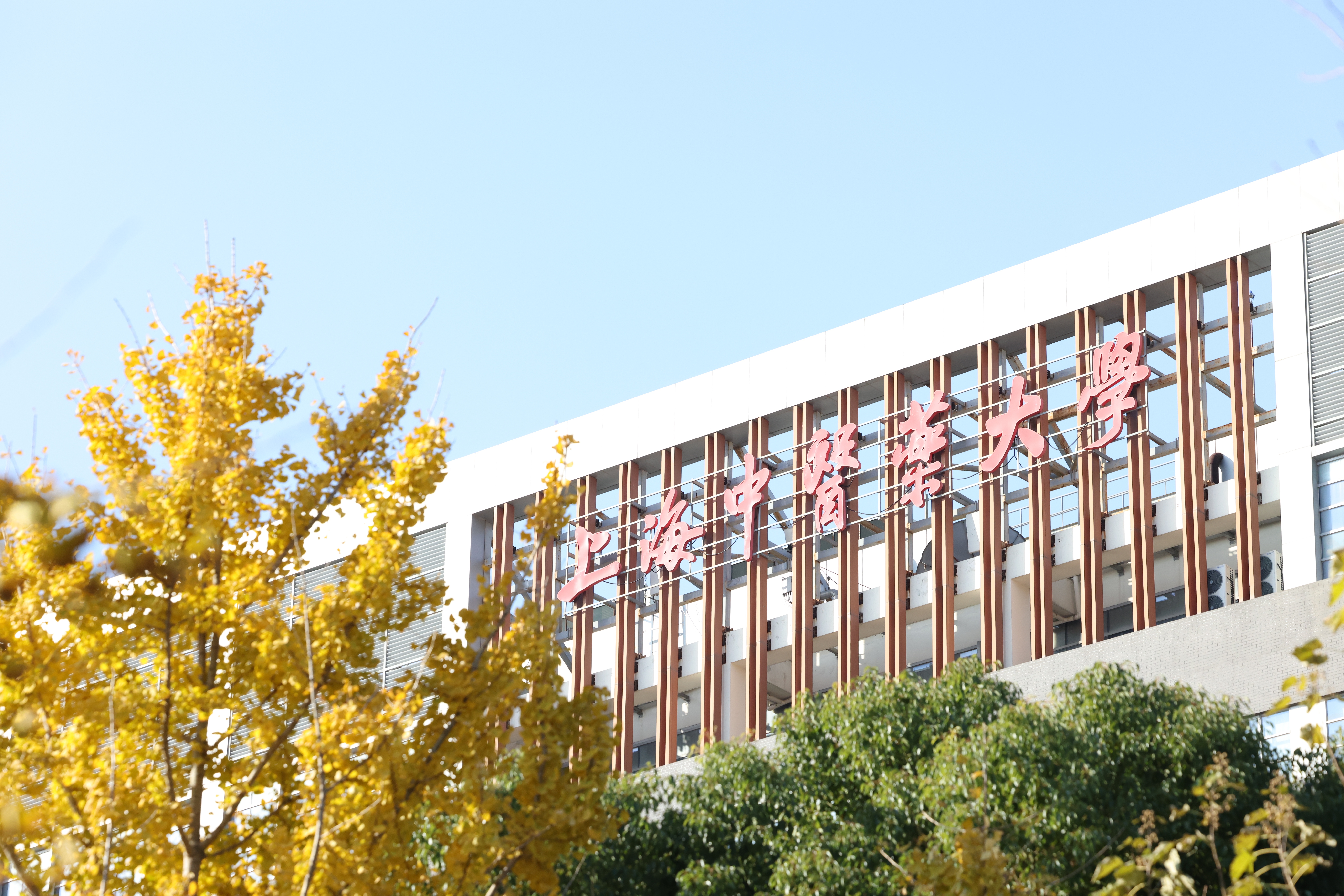 我校系统八项成果喜获2025年度中国民族医药学会科学技术奖