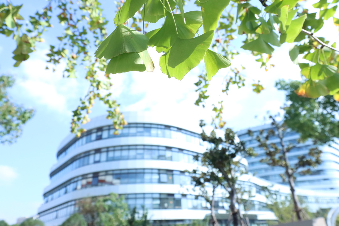 祝贺！我校系统多个集体和个人获先进表彰！