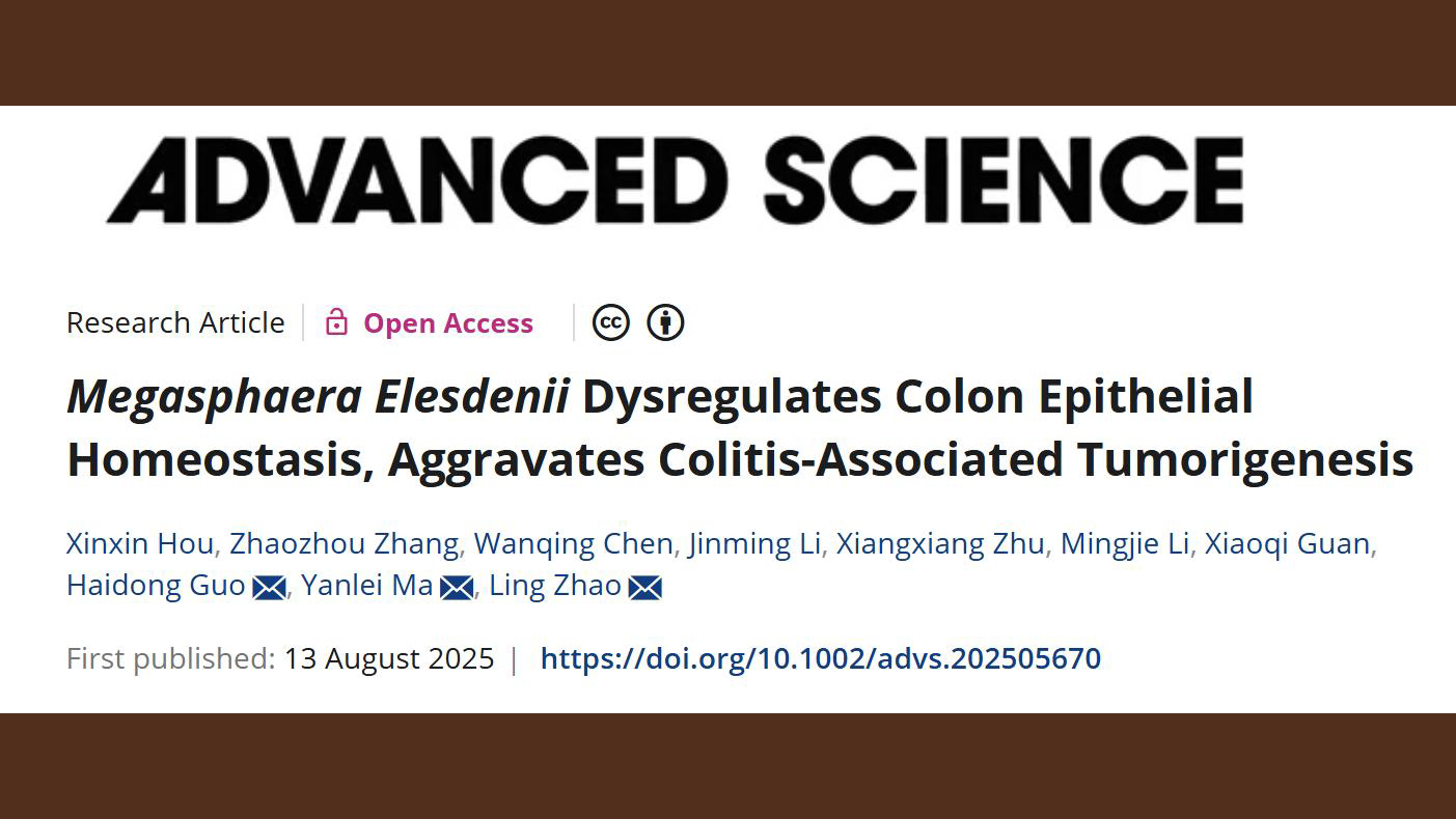 我校中西医结合学院研究团队揭示肠道菌Megasphaera促进结直肠癌炎癌转化的机制